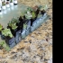 Micro Planter Chess Set print image