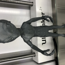 Picture of print of Grey Alien