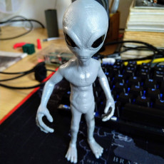 Picture of print of Grey Alien This print has been uploaded by David Momenso