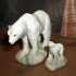 Polar bears on ice print image