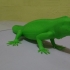 The Green Iguana print image
