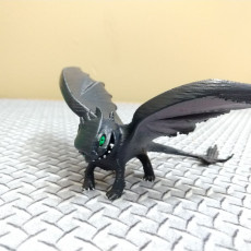 Picture of print of Night Fury Dragon