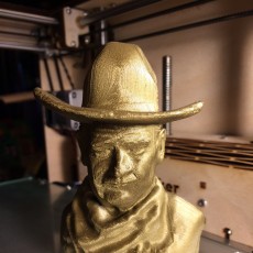 Picture of print of John Wayne Bust This print has been uploaded by Rogar Kersoe