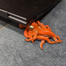 Picture of print of Octopus Laptop Incliner