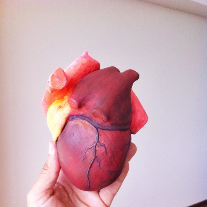 Community Print 3D Print of Anatomical Heart