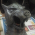 The Game of Thrones Hound's Head Helm print image