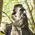 William Booth Bust on Mile End Road, London image
