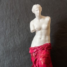 Picture of print of Venus de Milo at The Louvre, Paris This print has been uploaded by Cousin Yann