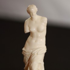 Picture of print of Venus de Milo at The Louvre, Paris