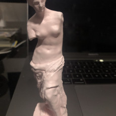Picture of print of Venus de Milo at The Louvre, Paris This print has been uploaded by Mateus Pestana