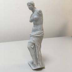 Picture of print of Venus de Milo at The Louvre, Paris Dieser Druck wurde hochgeladen von Prósper