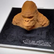 Picture of print of Gorilla Bust This print has been uploaded by Paulo Ricardo Blank