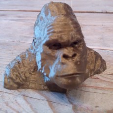 Picture of print of Gorilla Bust This print has been uploaded by Els Meulendijks