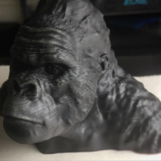 Picture of print of Gorilla Bust This print has been uploaded by Adam Barnsley