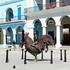 Woman sitting on a rooster at Plaza vieja, Havana Cuba image