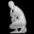 The Crouching Venus image