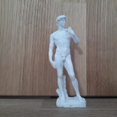 Picture of print of David
