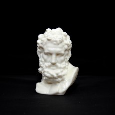 Picture of print of Bust of Hercules at The MET, New York Questa stampa è stata caricata da Ivan B
