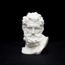 Picture of print of Bust of Hercules at The MET, New York This print has been uploaded by Ivan B