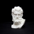 Bust of Hercules at The MET, New York print image