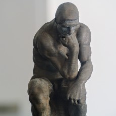 Picture of print of The Thinker at the Musée Rodin, France This print has been uploaded by makereal
