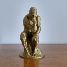 Picture of print of The Thinker at the Musée Rodin, France Questa stampa è stata caricata da Jeroen Hustings