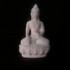 Picture of print of Medicine Buddha at The Houston Museum of Natural Science, USA This print has been uploaded by Kutluhan