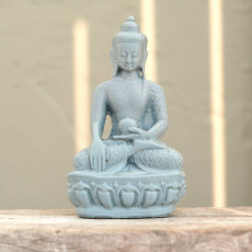 Picture of print of Medicine Buddha at The Houston Museum of Natural Science, USA