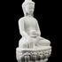 Medicine Buddha at The Houston Museum of Natural Science, USA image