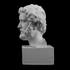 Antoninus Pius at the MET, New York image