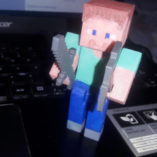 Picture of print of Articulated Steve from Minecraft