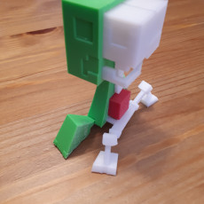 Picture of print of Creeper Anatomy from Minecraft