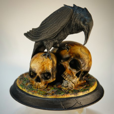 Picture of print of Raven Skull