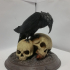 Raven Skull print image