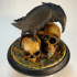 Raven Skull print image