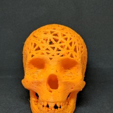 Picture of print of Halloween skull lamps This print has been uploaded by Larry Earnhart