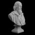 Alfred Tennyson Bust at The Collection, Lincoln, UK image
