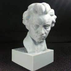 Picture of print of Beethoven at The Collection, Lincoln, UK