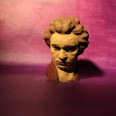 Picture of print of Beethoven at The Collection, Lincoln, UK This print has been uploaded by Creative Journeys
