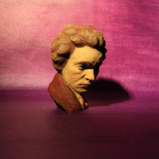 Picture of print of Beethoven at The Collection, Lincoln, UK This print has been uploaded by Creative Journeys