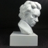 Beethoven at The Collection, Lincoln, UK print image