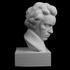 Beethoven at The Collection, Lincoln, UK image