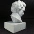 Beethoven at The Collection, Lincoln, UK print image