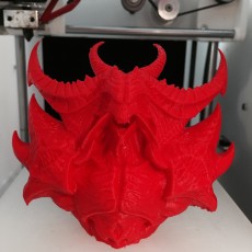 Picture of print of Diablo