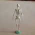 MV Skeleton print image