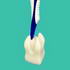 Toothbrush Tooth Travel Case image