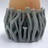 Organic Hex Egg Cup image