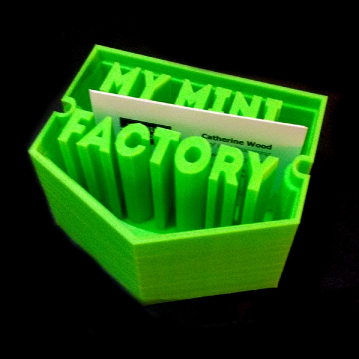 My Mini Factory Cardholder