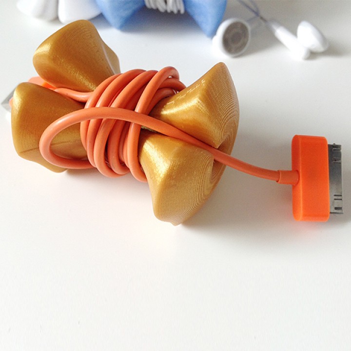 Apple Cor! cable tidy