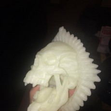 Picture of print of Skull Tongue